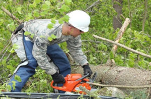 Worker with chainsaw cutting tree
